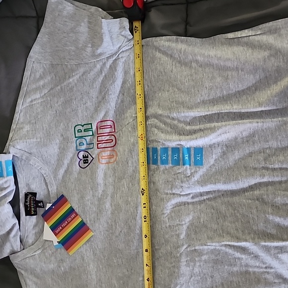 LGBTQ Feeling Proud, Womens Pride T-Shirt, Pride Month, Gray - Picture 6 of 6